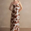 Arisaema Long Dress
