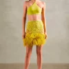 Guipure Lace Feathered Mini Skirt